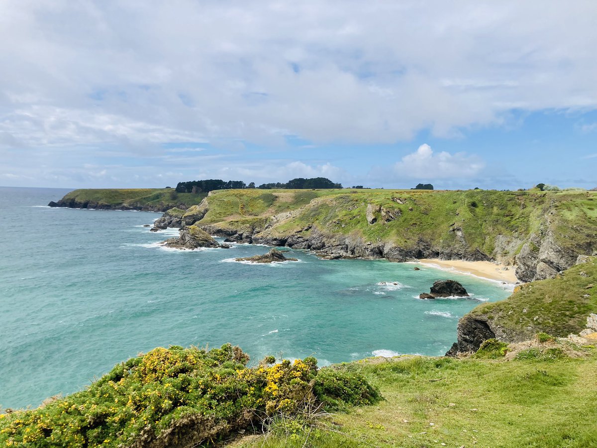 LEMAÎTRE Céline tweet media