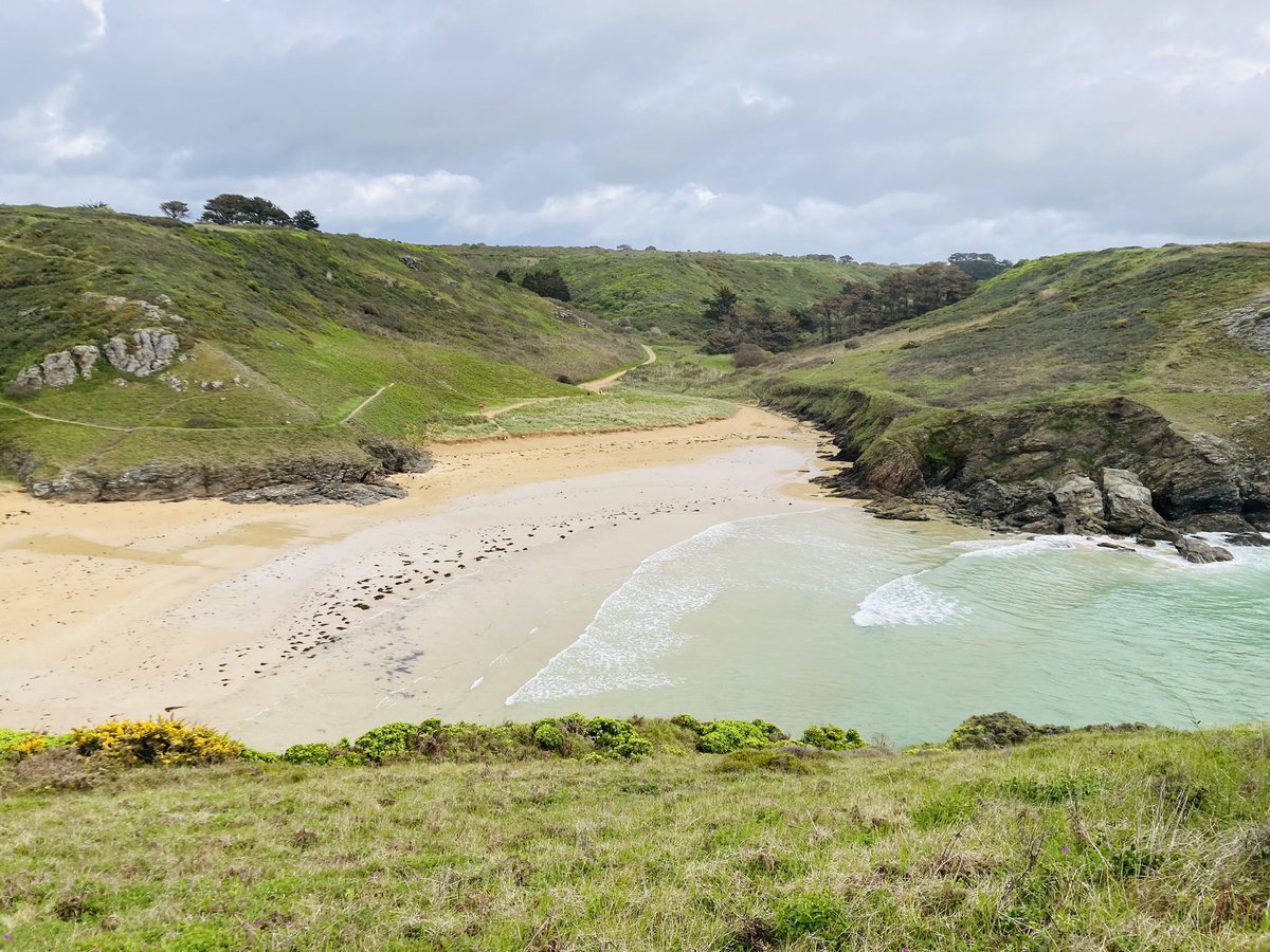 LEMAÎTRE Céline tweet media