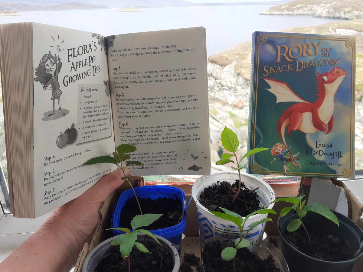 In #roryandthesnackdragons the characters grow an amazing apple tree from a Granny Smith pip. 
We wanted to show readers that they can do this too (even without magic) so here are the apple seedlings we started growing in February, plus Flora's instruction for how to do it.