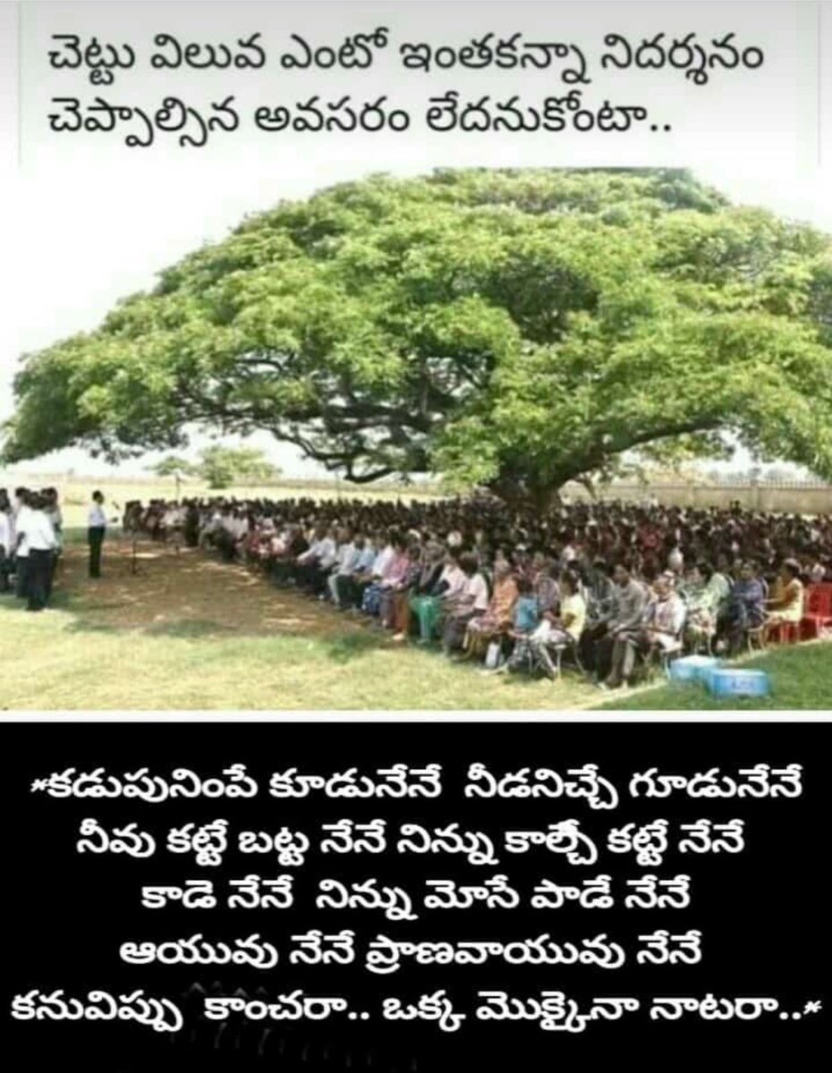 #LokSabhaElections2024
#vote4greenindia
#హరితభారతానికిఓటువేయండి

@RemalaKamdar 

@hdavidcooper @ECOWARRIORSS @neiltyson
@BillNye @elonmusk @DegaDeva  @CANIntl
@speedandscale @johndoerr  @rypan @drvandanashiva @algore @ariannahuff
@Kasparov63 @ClimateReality @RaoKavitha @TSwithKCR