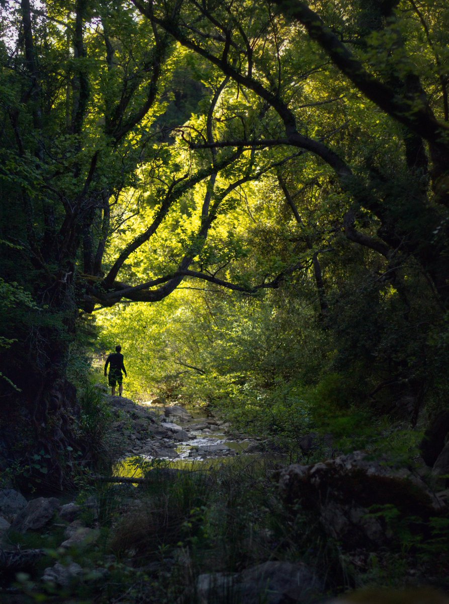 💚💚💚
Keramitsa, Thesprotia
#keramitsa #thesprotia #Epirus #Greece #hiking #green #forest #nikon #nikonphotography #nikond3100 #photography #photooftheday #PhotographyIsArt #photographylovers #nature #naturelovers