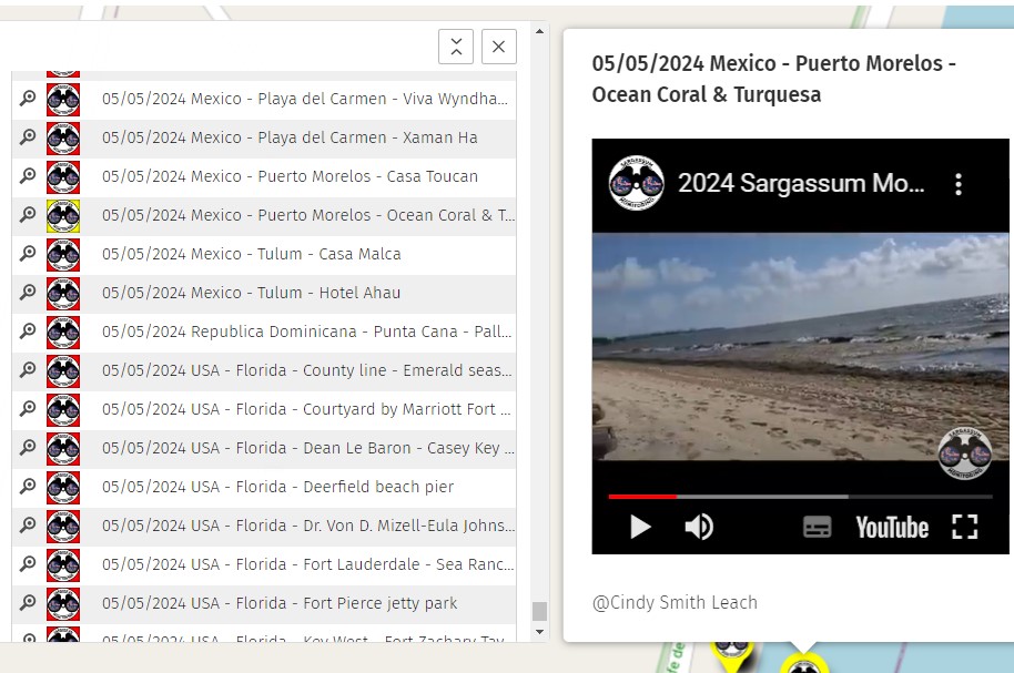 May.  5th  2024 #Mexico #Mexique #PuertoMorelos 

Check out all the pictures of the day on the map 2024
here : sargassummonitoring.com/en/official-ma…

#sargassum #sargazo #sargasses #sargassummonitoring #SurveillancedesSargasses #MonitoreodeSargazo #RivieraMaya  #sargassumseaweedupdates
