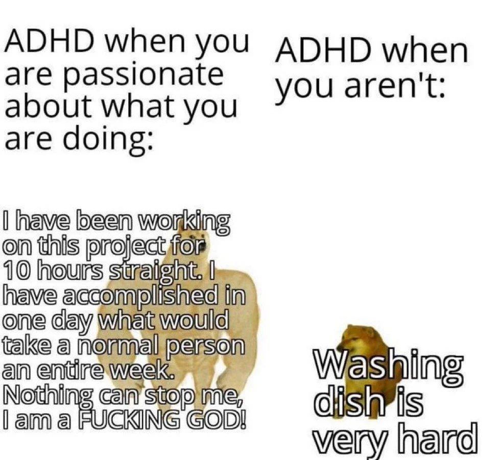 ADHD Memes (@ADHDForReal) on Twitter photo 2024-05-05 17:00:01