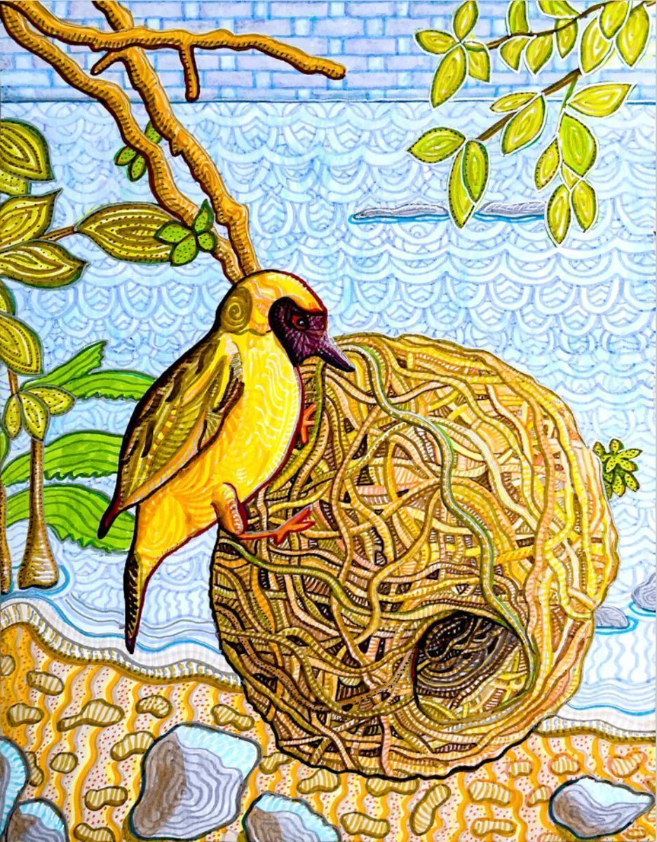 Masked weavers have a thriving community by the shores of Lake Malawi. They weave the coolest round nests to house their young. I aimed to capture the look and feel of handmade woven baskets in the sky and water. See more: buff.ly/43GXJ0w #birdlover #birdart #weaver