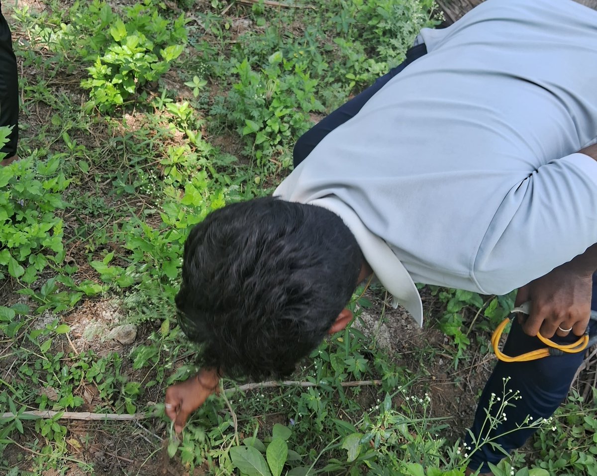 RCVCET_3203's tweet image. One Day
Farming🌾🌿