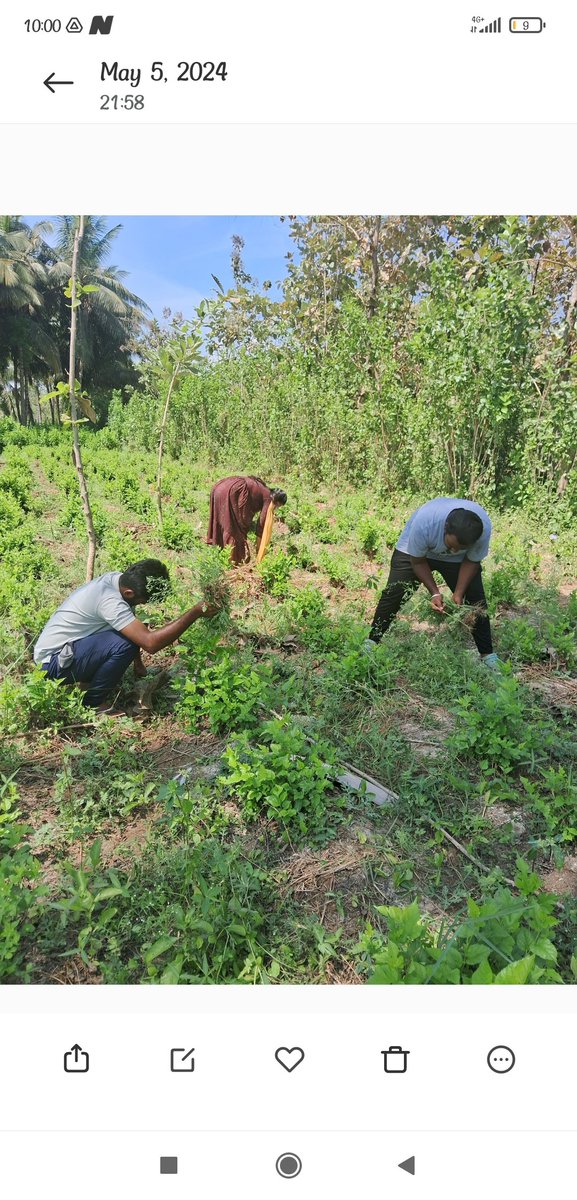 RCVCET_3203's tweet image. One Day
Farming🌾🌿