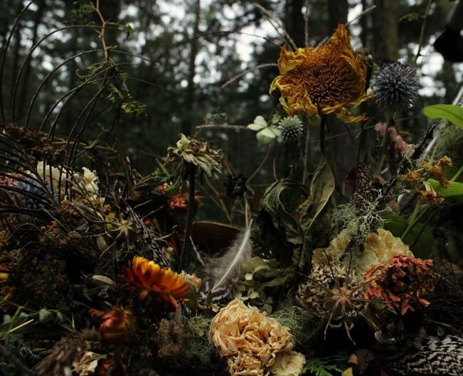 #westerwisp #driedflowers #art #flowerart #floralart #Seattle #seattleartist #fineart #memorial #wedding #sunflowers #woodland #pnw #florals #flowers #gardening #weddingflowers #theknot #oncewed #seattlebride