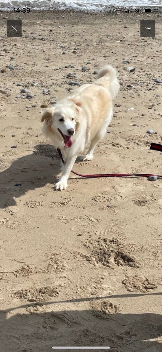 ClaireGroves19's tweet image. Bank holiday escape today. Took everyone away from laptops and revision to have a well deserved break. #workhardplayhard #gcserevision