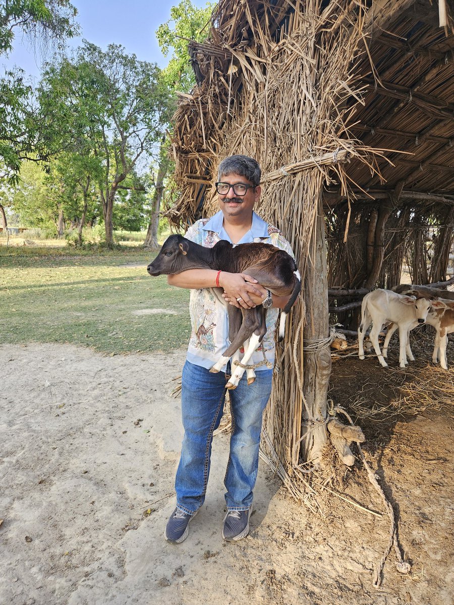 Reiterating my resolve to save this endangered #khairigarh breed of milch #Cow from an imminent extinction. Efforts to be renewed post elections, by seeking the kind attention of @myogiadityanath ji, our Hon'ble Chief Minister @CMOfficeUP.