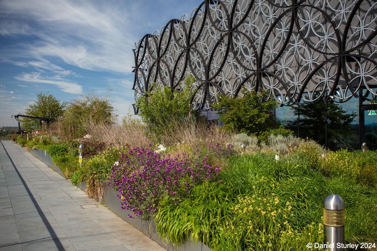 #Birmingham UK, the 'Secret Garden' atop @LibraryofBham is looking #lush 😃 #BirminghamWeAre #Flowers