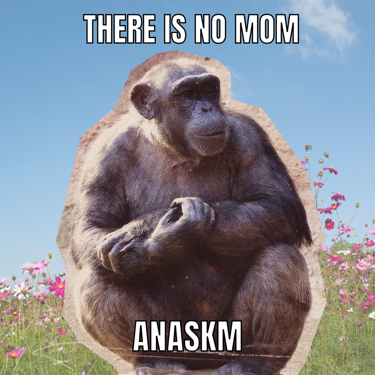 anaskmzk's tweet photo. @frogmonkee @zksync cultural https://t.co/ZufKP5RMdL