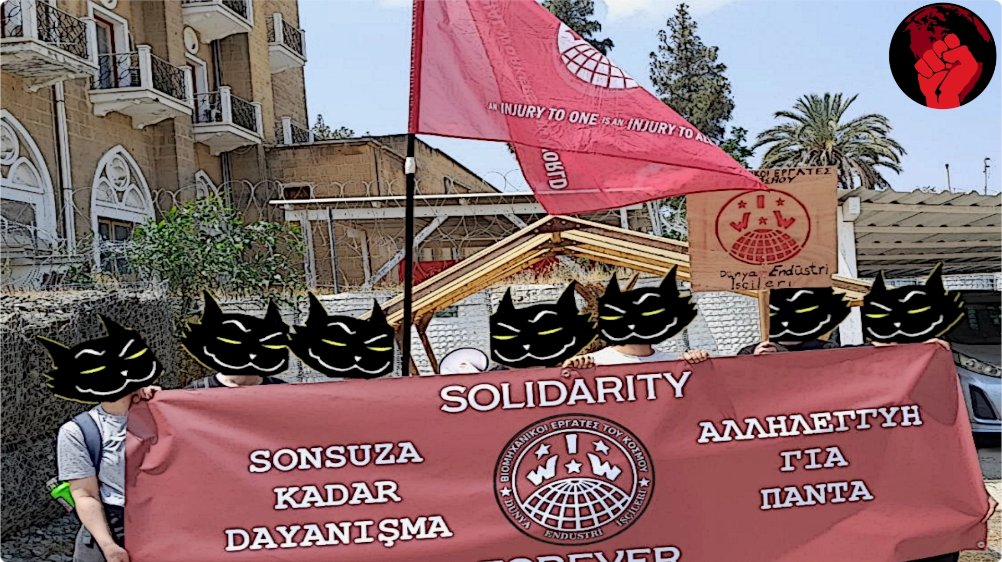 Members of IWW Cyprus rallied in the city center of #Nicosia, played revolutionary songs and distributed leaflets: globalmayday.net/gmd2024/report…
Congratulations to IWW Cyprus for their first solo May Day action! ✊🎉

#globalmayday2024
#1world1struggle