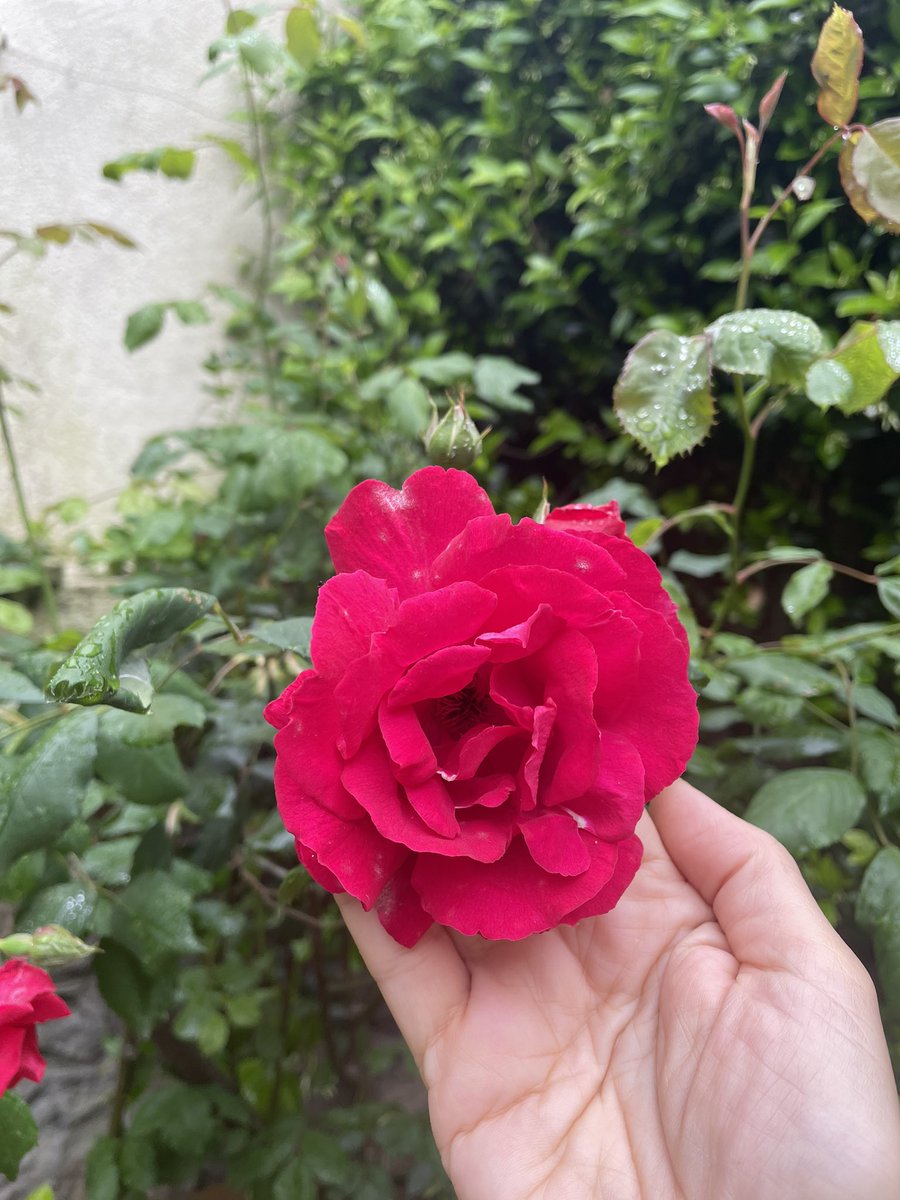 Hıdrellez kutlu olsun! 
#hıdrellez #hızırilyas