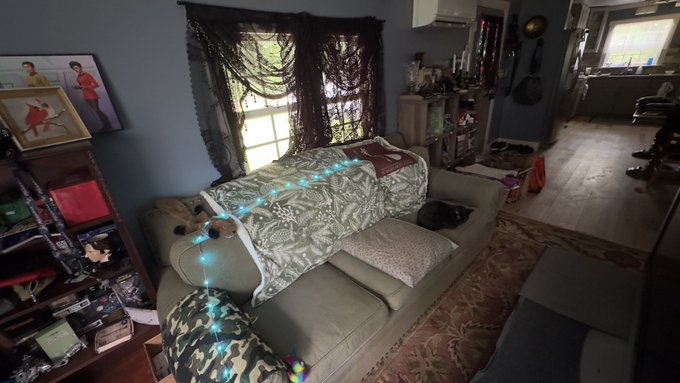 New curtains &amp; my sleepy kitteh 🐈&zwj;⬛ https://t.co/fL70aitusN