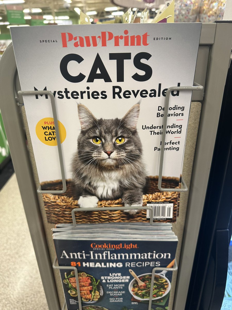 this cat on the cover of PawPrint is the prettiest/most handsome cat of all time