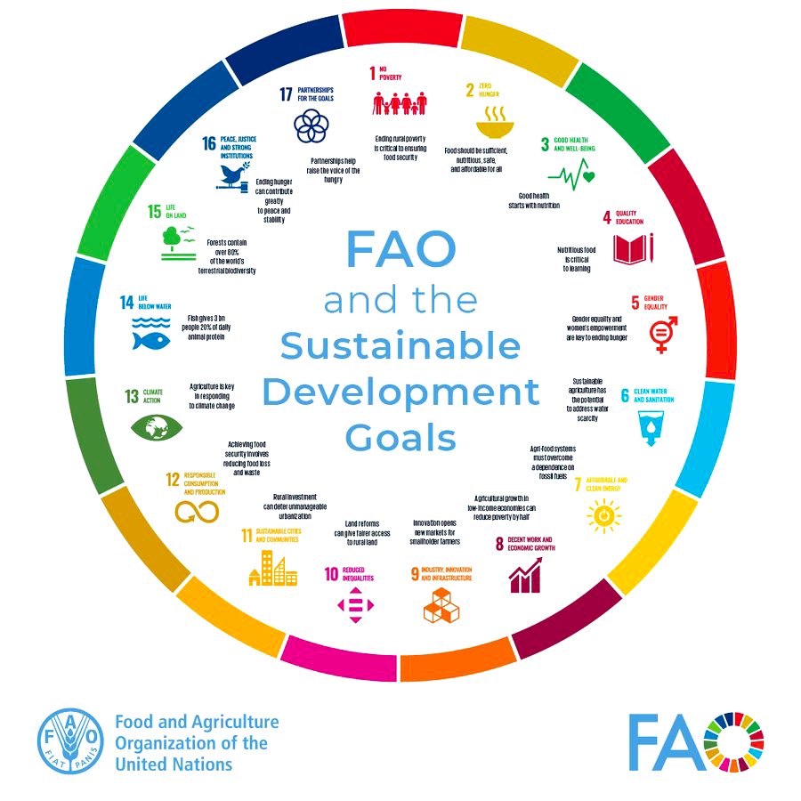 17 goals. 6 years to achieve them. 1 future. Food & agriculture lie at the heart of achieving each & every one of the 17 #SDGs. @FAO is committed to help build a better future for all, learn how 👉🏾bit.ly/3JGDVkS #ActNow #4Betters