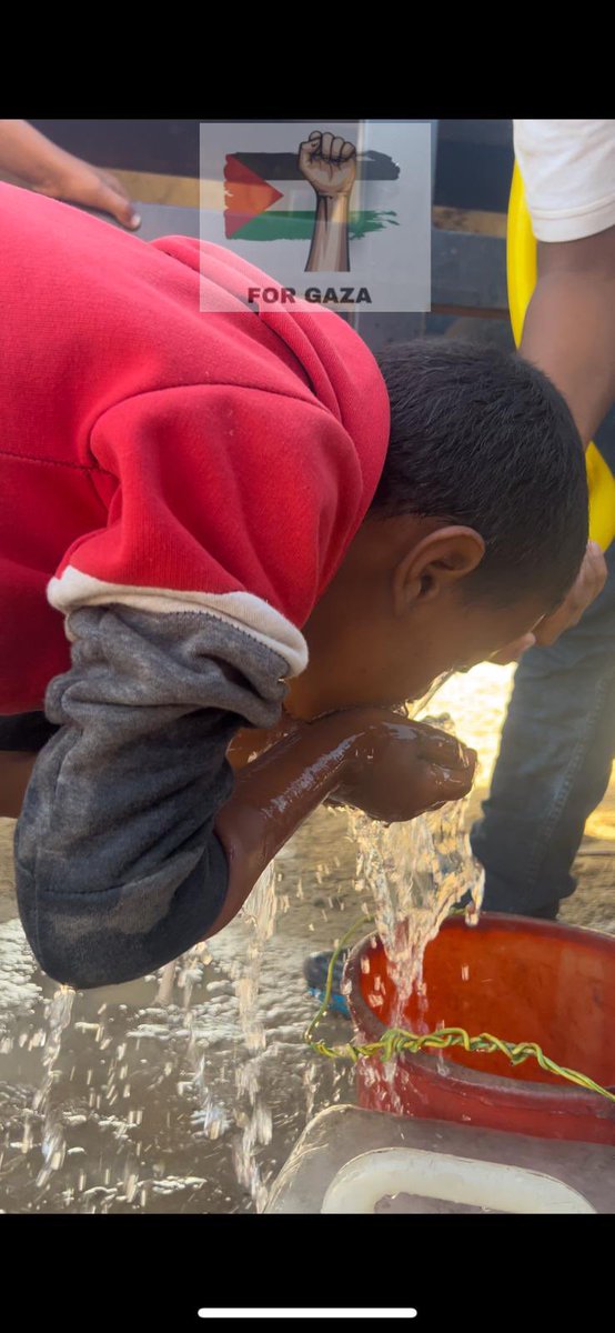 GazaDirectAid's tweet photo. Thank you all for your continued support in providing direct aid in Gaza. Our gofundme campaign is reopened for donations and you will see more large campaigns for displaced Palestinians in the upcoming weeks

Please share and consider donating https://t.co/JeiFWUqVTu https://t.co/OLFSiA491r
