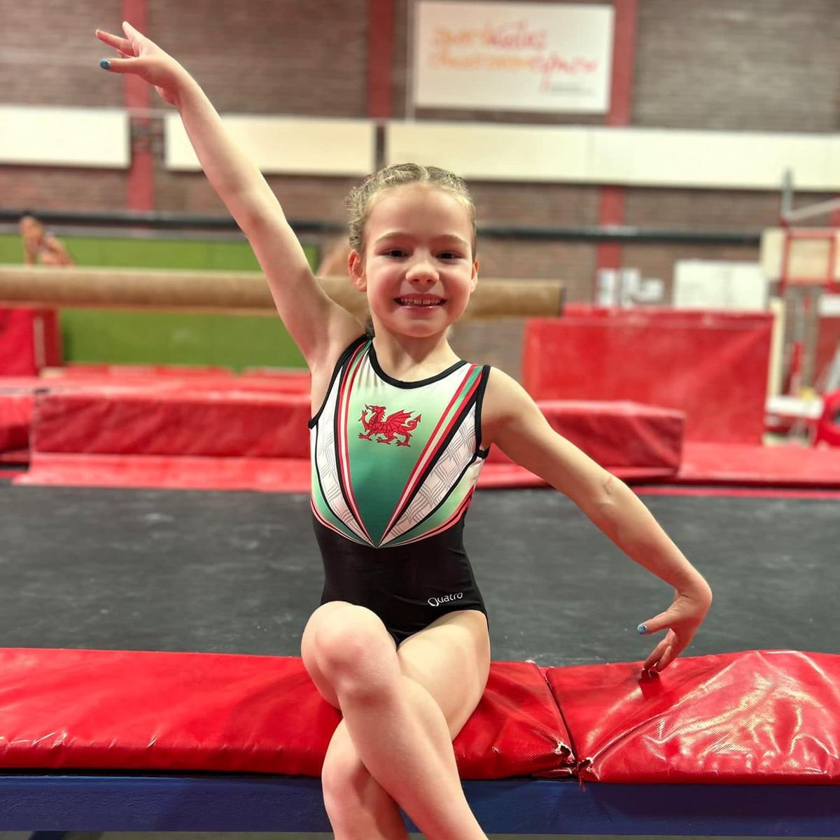 Well done Ruby - lovely work at todays @WelshGymnastics Foundation Squad - thank you coaches! #TeamVGA