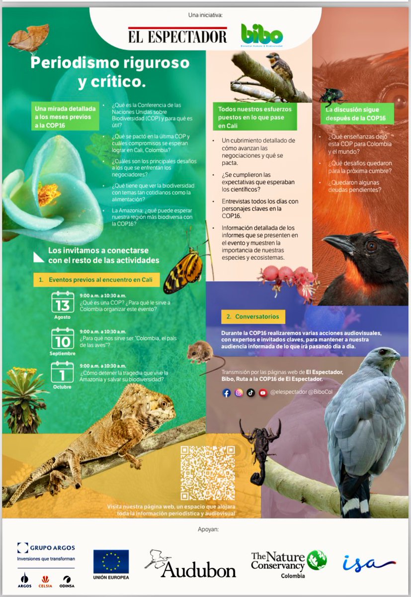 ¡Aquí vamos! 🐦🦅🦆🦉🦜
@audubonsociety inicia el vuelo hacia #cop16 de la mano de aliados como @elespectador @BIBOCol @CaracolTV para compartir conocimientos y experiencia de 120 años de trabajo a favor de aves, conservación, biodiversidad, comunidades y conexión hemisférica.