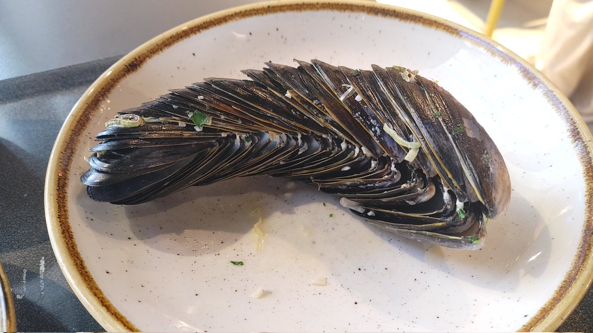 Seth Weinstein tweet media