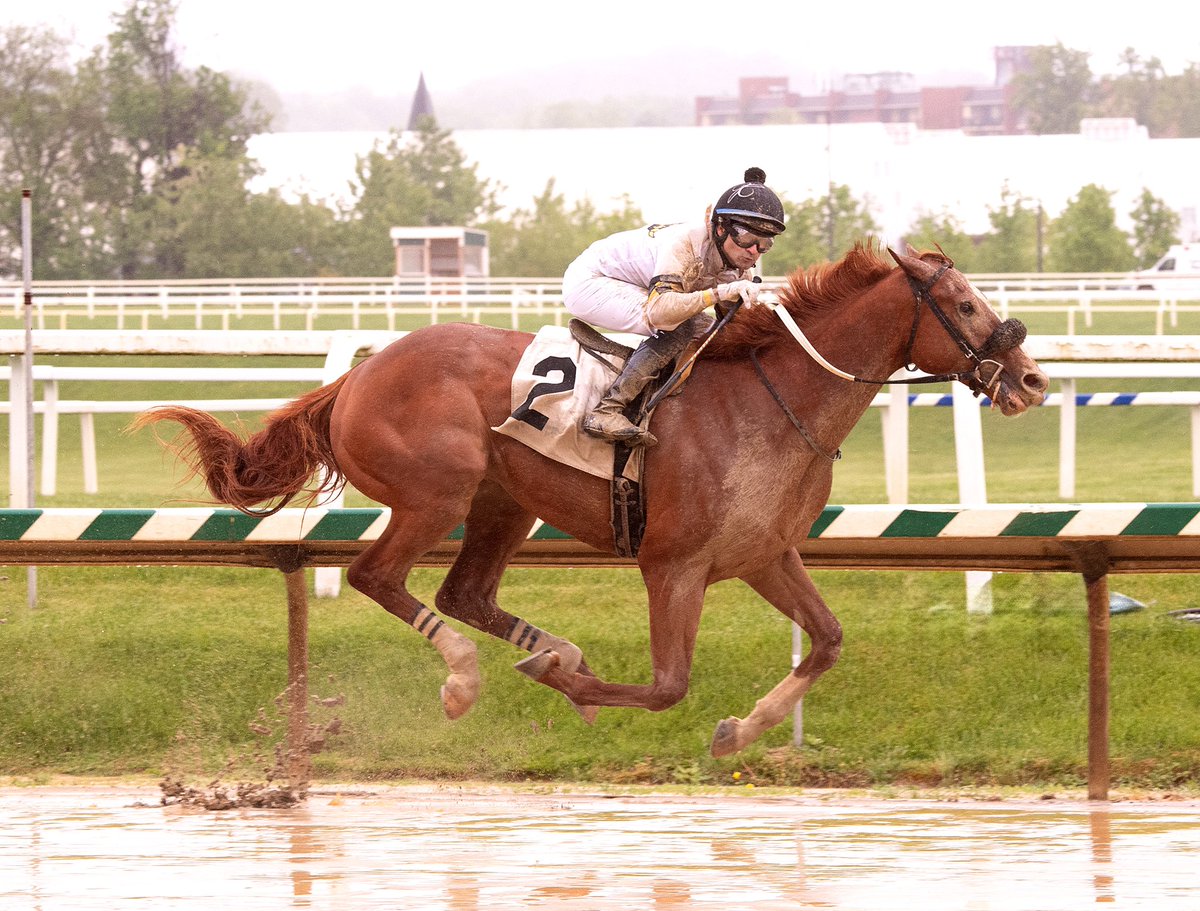 First-timer Studlydoright rallies along rail under @AnnasBandit to win 4 1/2F MSW @LaurelPark. 2YO @MarylandTB colt by Nyquist trained by @JRobbRacing for Mens Grille Racing. (Jim McCue 📷)