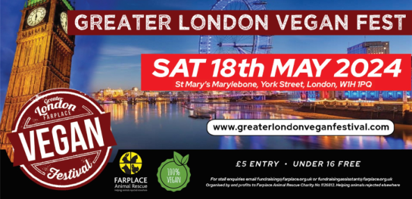 Greater London Vegan Festival takes place on Saturday 18 May 2024 at St Mary's Church Marylebone. All profits from this event go to Farplace Animal Rescue vegansociety.com/news/events/gr… #Marylebone #London #vegan