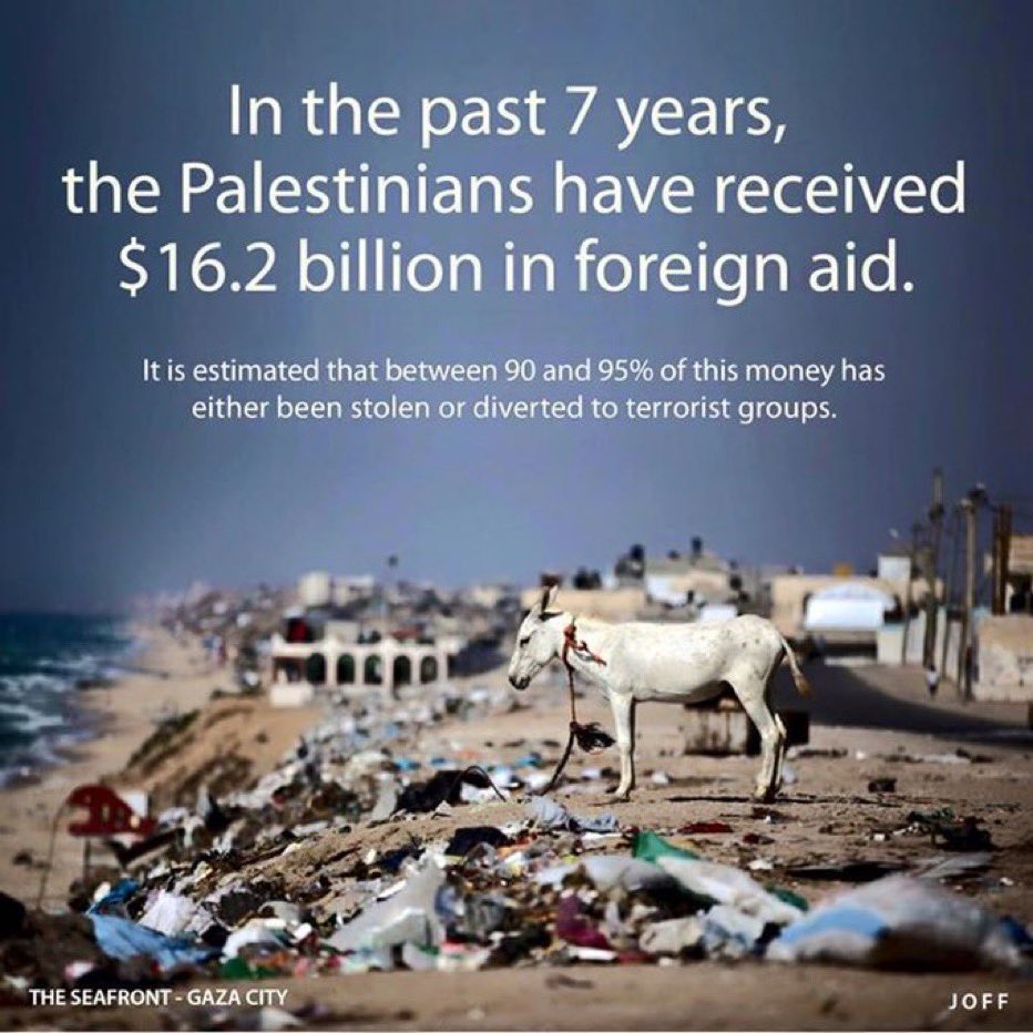 Zum Thema: Die armen Palästinenser.

Quasi kein Fleck auf der Erde hat mehr humanitäre Hilfen erhalten als Gaza. 

Dass es den Palästinensern geht, wie es ihnen geht, liegt nicht an Israel, sondern an fanatischem Glauben und Treue gegenüber einer Terrororganisation, die die