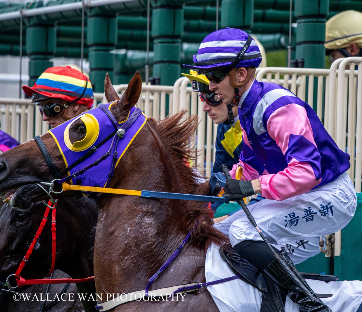 And they're off!
#superjockey #Horse #hkracing #hkphotographer #art #horsephoto #調教師 #horseracing #jockeys #騎手 #競馬場 #shatinracecourse #HorseRacing