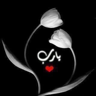 ”اللهُمً أيام خالية من كُل شعُور سيء .....🌿♥️.”