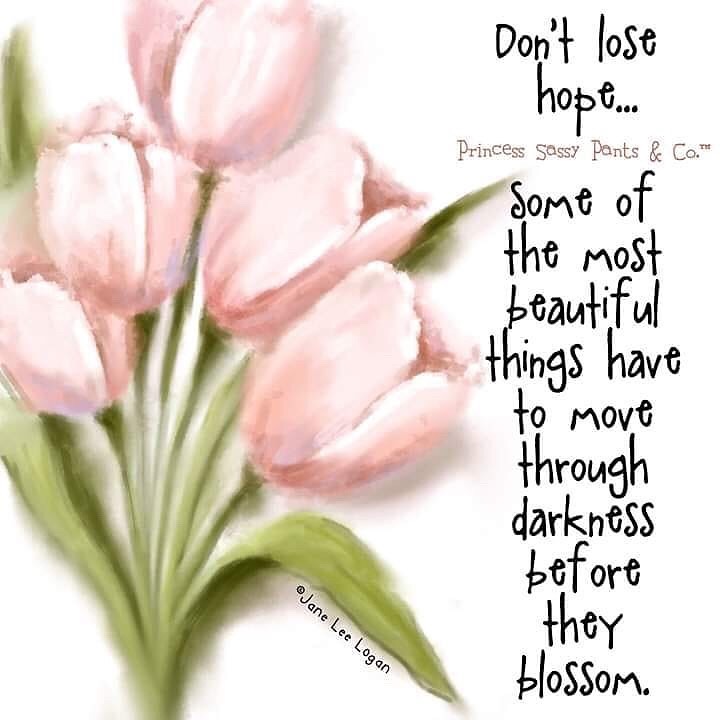 Don't lose hope... Some of the most beautiful things have to move through darkness before they blossom. ~ #Hope