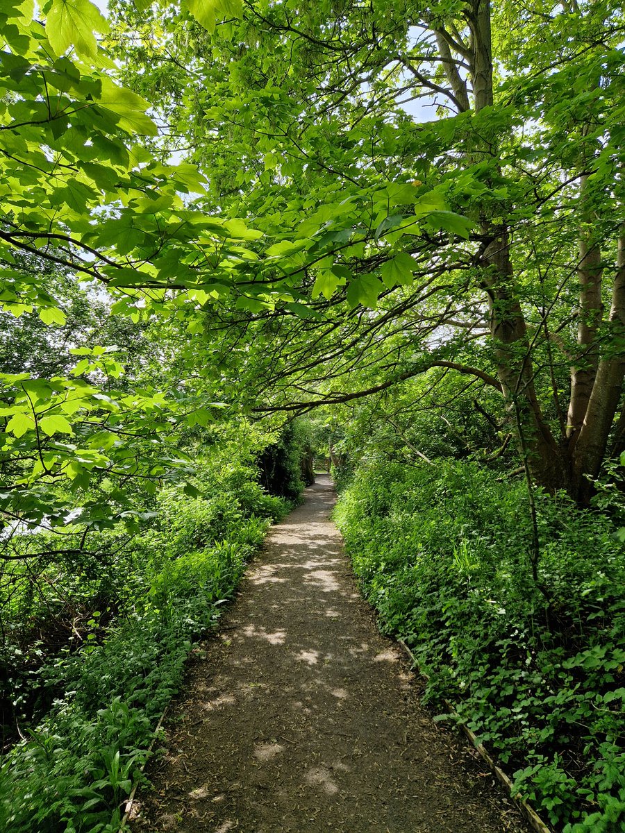 The verdant paths of Lewes