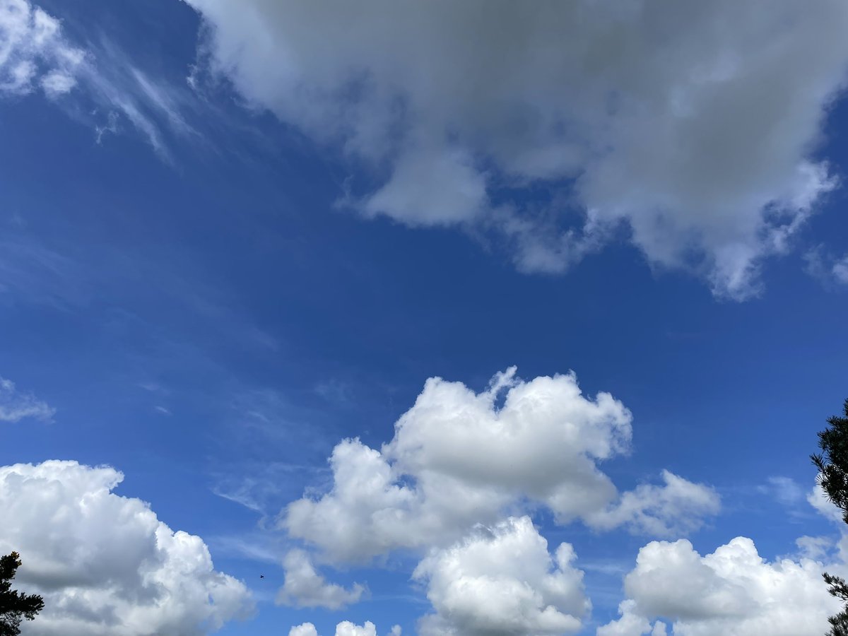 My idea of ‘a knees up!’ - relaxing in the sunshine, cloud watching, daydreaming and listening to the Cuckoo call. I hope you’re enjoying a relaxing, restorative May bank holiday too. #VitaminN #Nature #NatureBeauty #Spring #Cuckoo #BirdSong #PositiveMindset