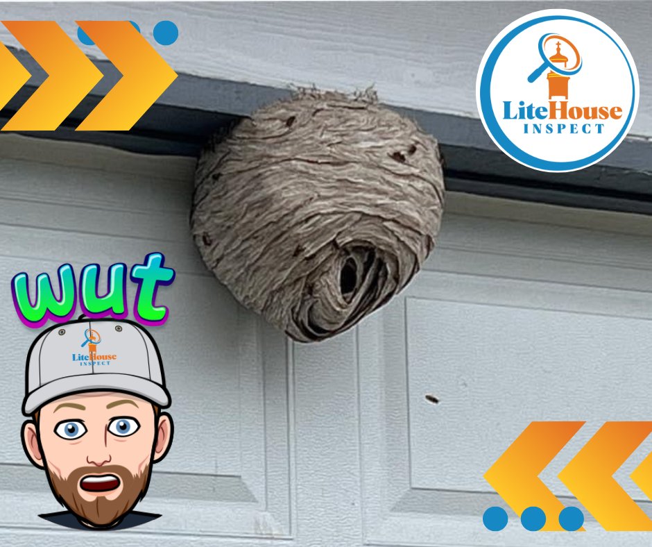 That's not a bee hive.  Bees prefer to build in covered or more hidden areas.  If you see a hornet nest like this, best to call a pest control specialist to have it removed. #whosyourinspector #homeinspection #homeinspector #cincinnatirealestate #daytonrealestate