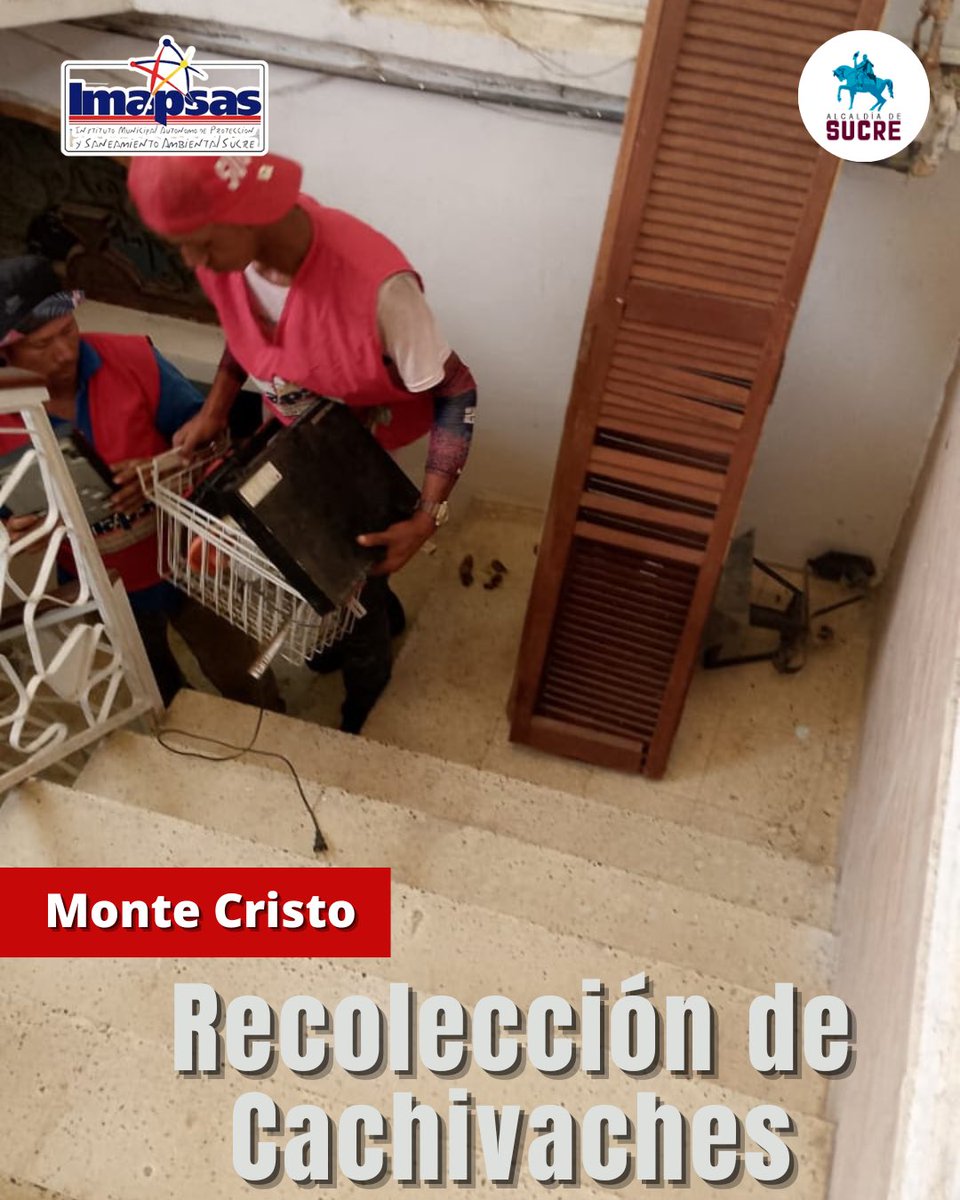 OficialImapsas tweet media