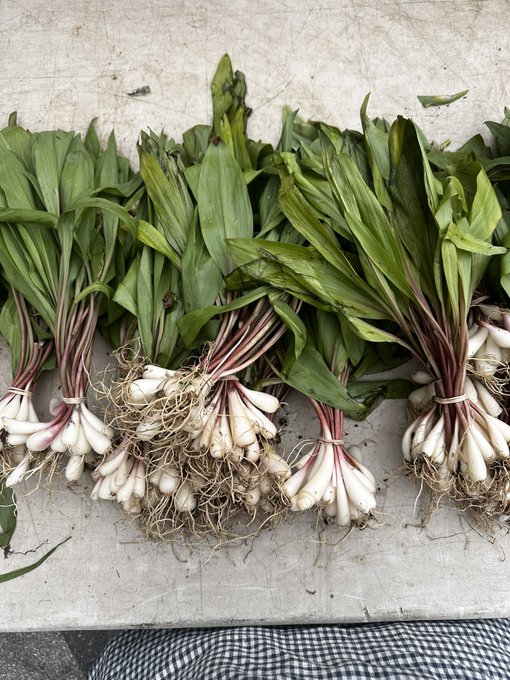 hell yeah brother https://t.co/EFw4GU6cZ8