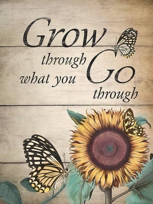Grow through what you go through. ~ Life's continual lessons!