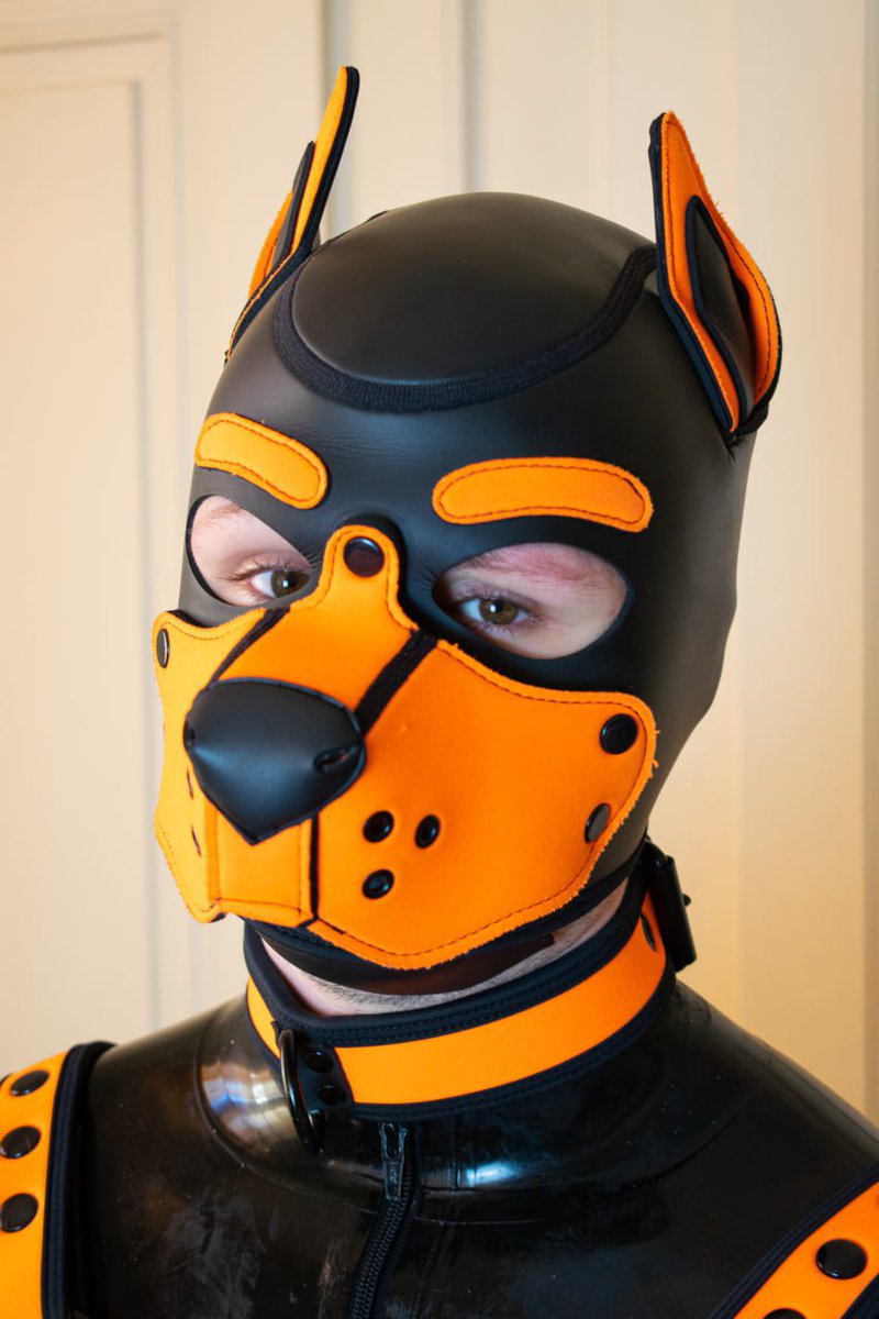 Finding peace and tranquility in my pup space. 🐾

📸 : <a href="/PupEir/">Pup Eir</a>