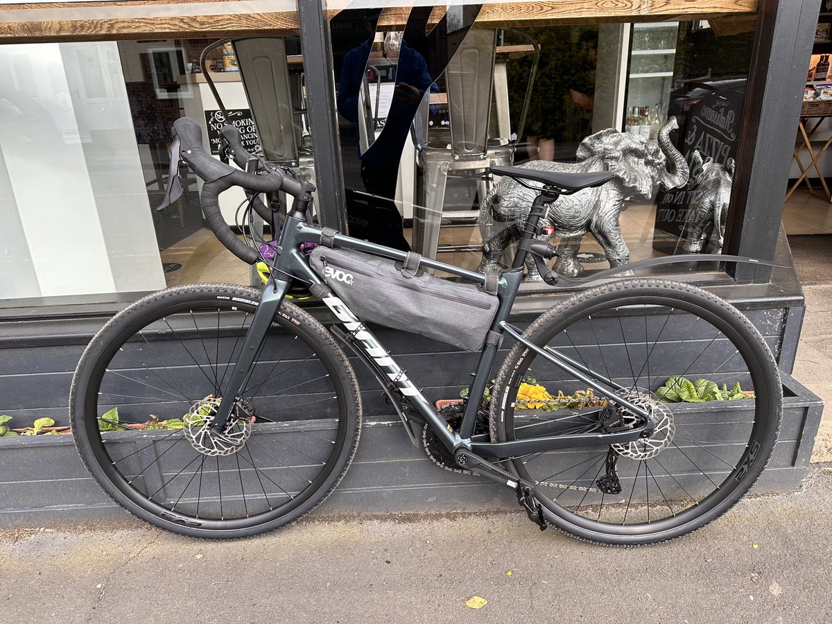 Enjoying the new donkey