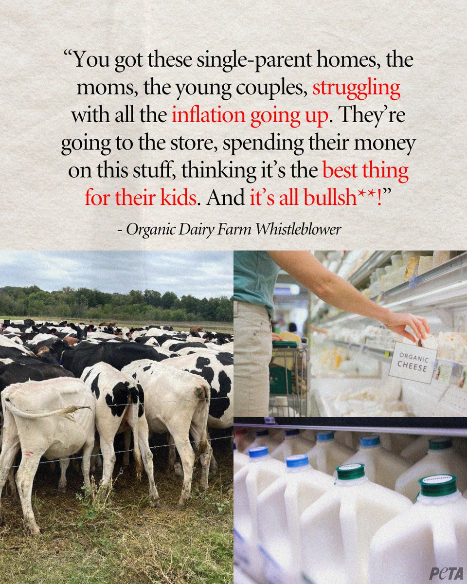 Organic dairy costs well-meaning people more money, yet cows still suffer—sometimes even more, because they’re denied antibiotics when sick or injured—and the environment is still wrecked. 
 
If you want the best for yourself, your family, & the planet, it’s time to #DitchDairy.