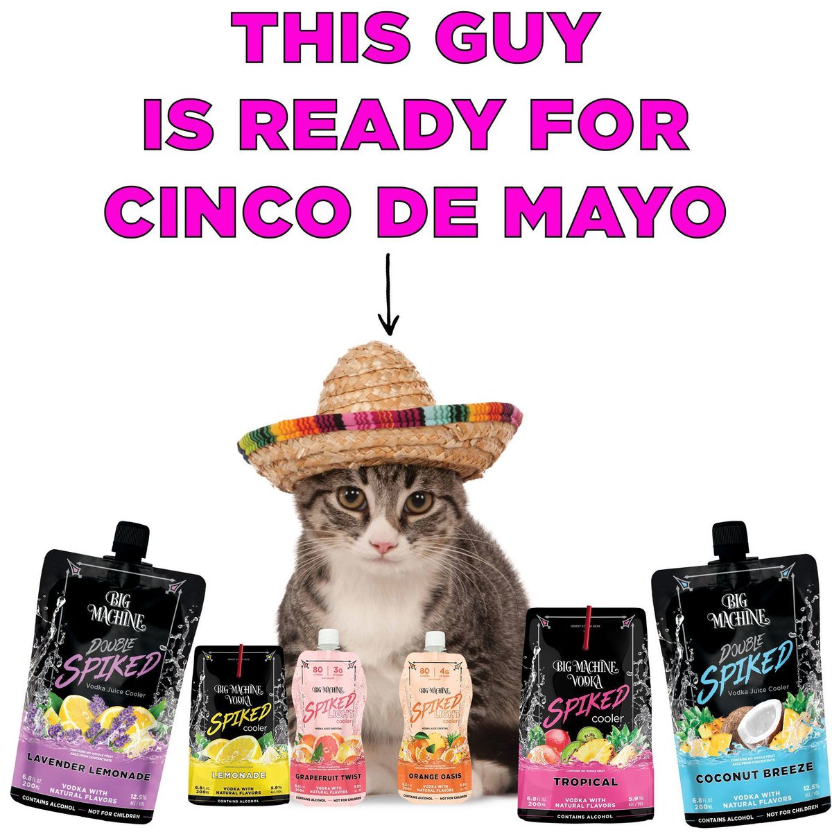 🪇Get ready for Cinco De Mayo with some Spiked Coolers! #cincodemayo #cincodemayo2024 #parties #fun #cats