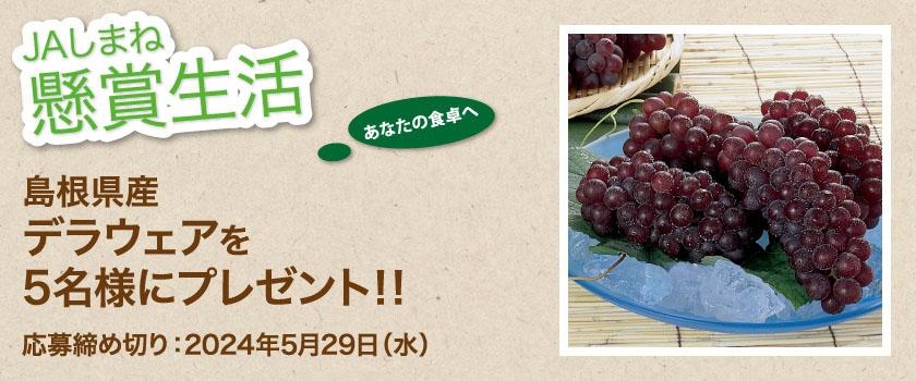 🍇#JAしまね プレゼント企画！🍇 #JAしまね はHPをご覧の方を対象に毎月プレゼント企画を実施中！🎉 今月は #島根県 産デラウェア🍇（2kg）を5名様にプレゼント！😄 応募はこちら 👉ja-shimane.jp/present/form05/ 締め切り：2024年5月29日（水）