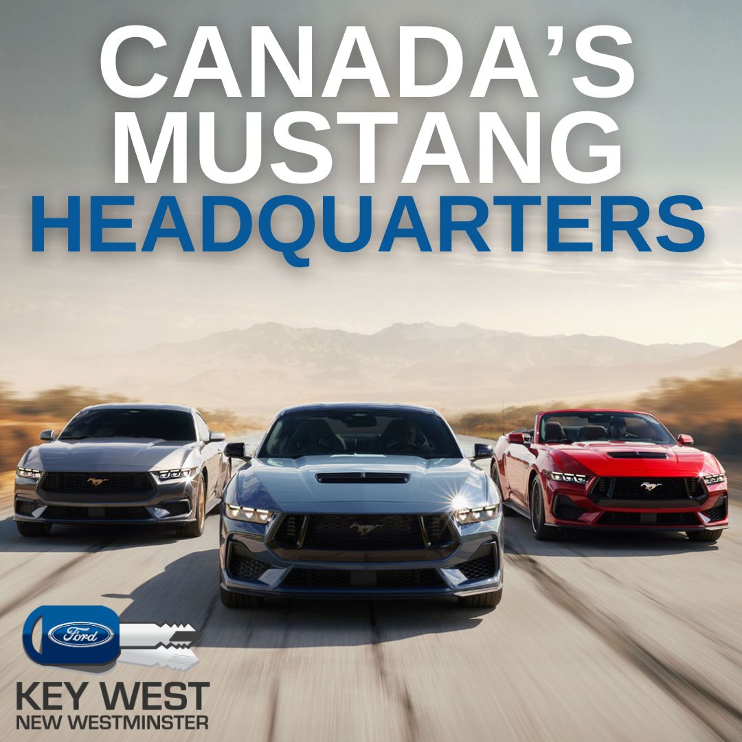 It's MUSTANG SEASON, folks! 🌸🐎 Time to kick it into high gear and spring into action! With our vast inventory and top trims at unbeatable prices, there's no better time to saddle up and hit the road in style! 🌟 

#MustangMania #RevItUp #SpringIntoSpeed  #MustangSeason