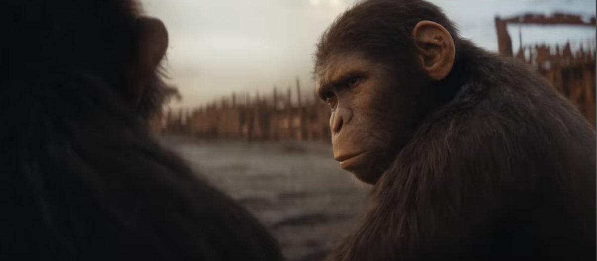 Wes Ball says it’s criminal that none of the ‘PLANET OF THE APES’ movies have ever won Best Visual Effects at the Oscars.

(Source: @APEntertainment)