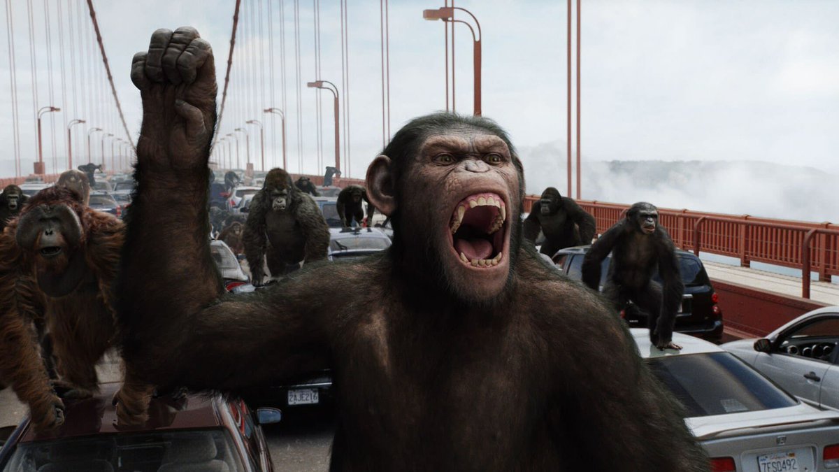 DiscussingFilm's tweet image. Wes Ball says it’s criminal that none of the ‘PLANET OF THE APES’ movies have ever won Best Visual Effects at the Oscars.

(Source: @APEntertainment)