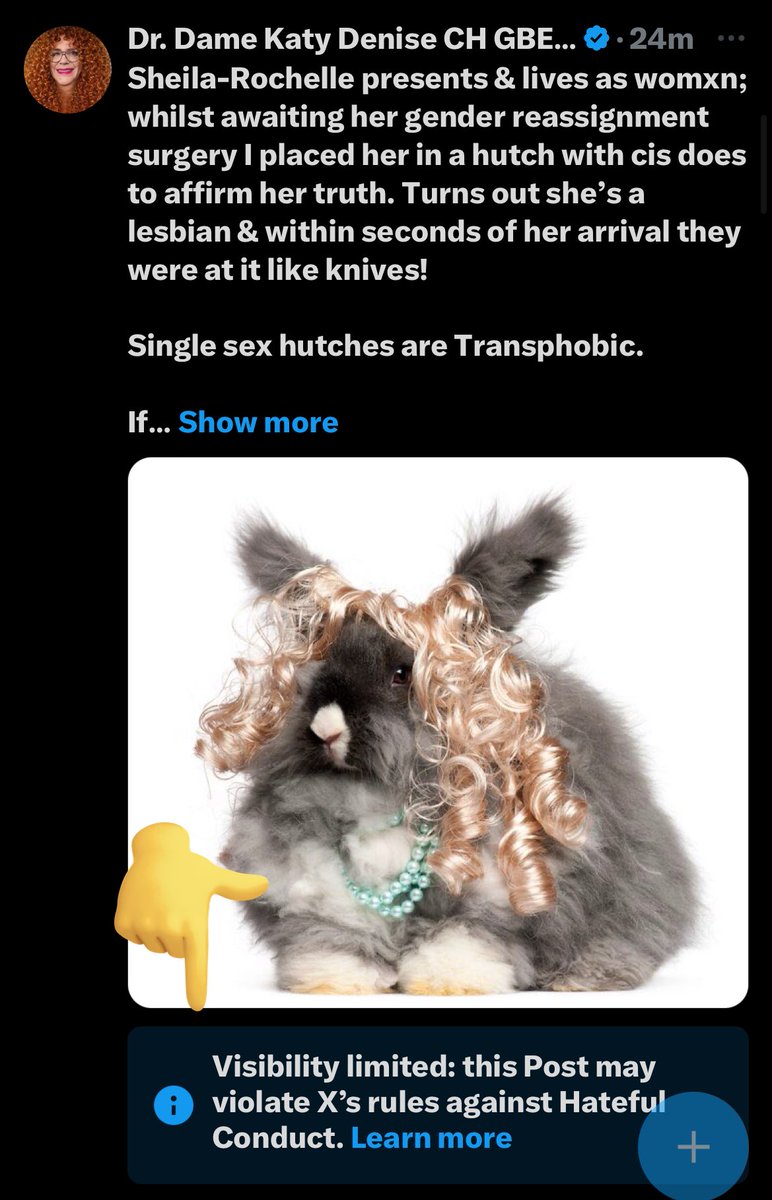 So Sheila-Rochelle, a Trans rabbit wearing costume jewellery & a wig is now hateful!?! Sick of this place. Stop erasing #TransAnimals!