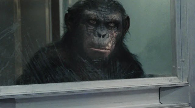 Rise Of The Planet Of The Apes-8/10

The silly premise is quickly overlooked by thoughtful writing. Mixed elements of prison break & biological thriller. The character development builds a caring bond. Revolutionary motion capture acting.

@ApesMovies #ApesWillRise #MovieReviews