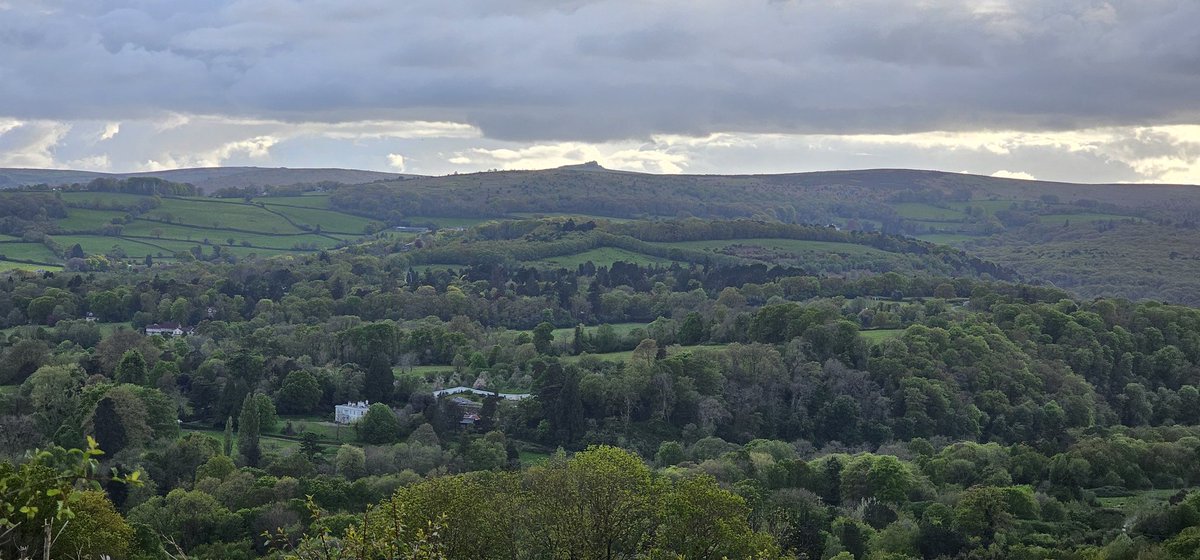 View over Parke to Haytor, Dartmoor.