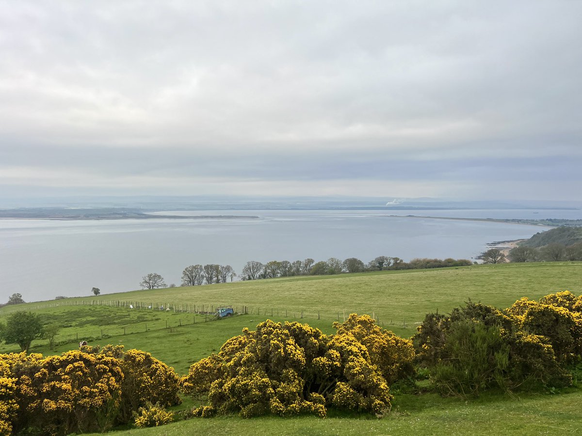 More like August than May here earlier - no breeze and very humid. Cooler now. A walk around going no more than 100m from the house has yielded 25 bird species. The rarest - possibly a magpie. #blackisle #morayfirth