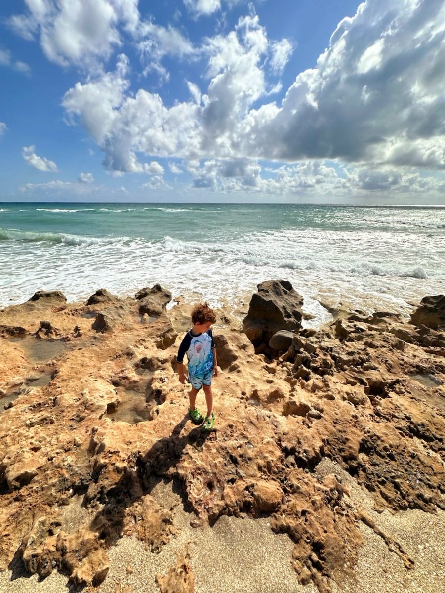 Sunday vibes ✨️ at beautiful Hutchinson Island, Florida. 🏝 ✨️🐚🪸🌾🧜‍♀️🧜‍♂️🌴🏖🪼💙 #CincoDeMayo @VISITFLORIDA @BeInspiredFL @born_saltwater @FloridianCreat1 @LuxTravelHotels @AventuraRI @AuthenticFL #Beach