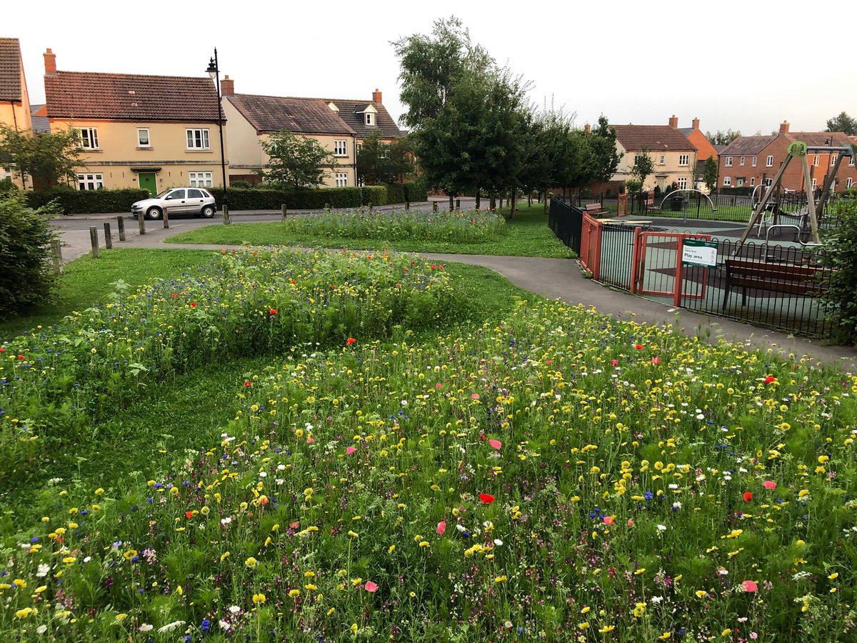 To celebrate the launch of our 'Pocket Meadow' project, we're creating a network of local flower meadows in 2024/2025. Are you ready to join the nature chain? @ExeterCouncil #ClimateEmergency #EcologicalEmergency @tobygardenfest